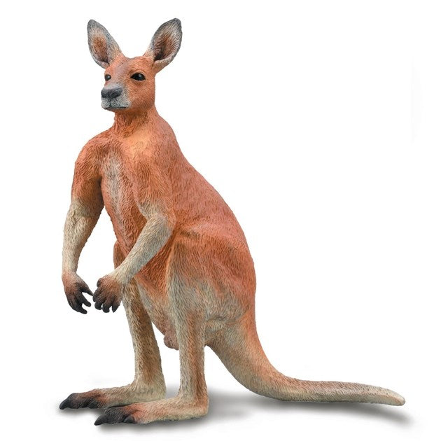 CollectA Red Kangaroo Male Figurine L (8262288212194)