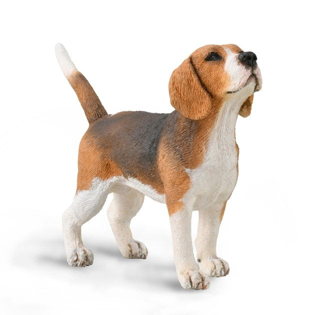 CollectA Beagle Figurine M (8262287917282)