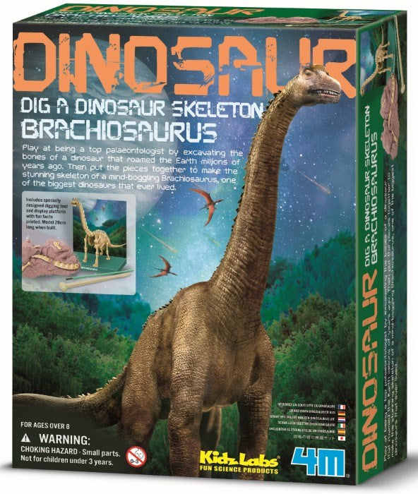 4M Science Brachiosaurus Skeleton (7875447947490)