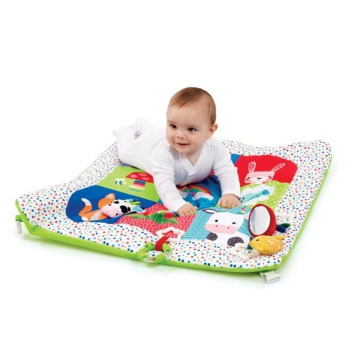 Early Learning Centre Blossom Farm Playmat & Arch (8075536072930)