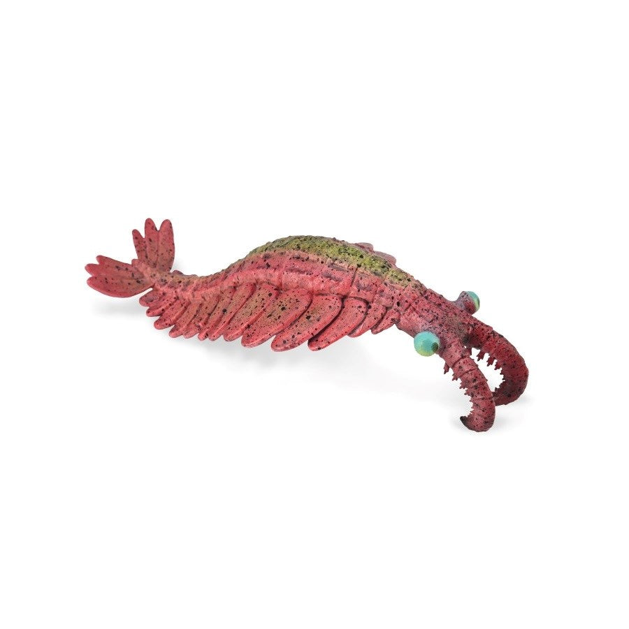 CollectA Anomalocaris (L) (8262292930786)