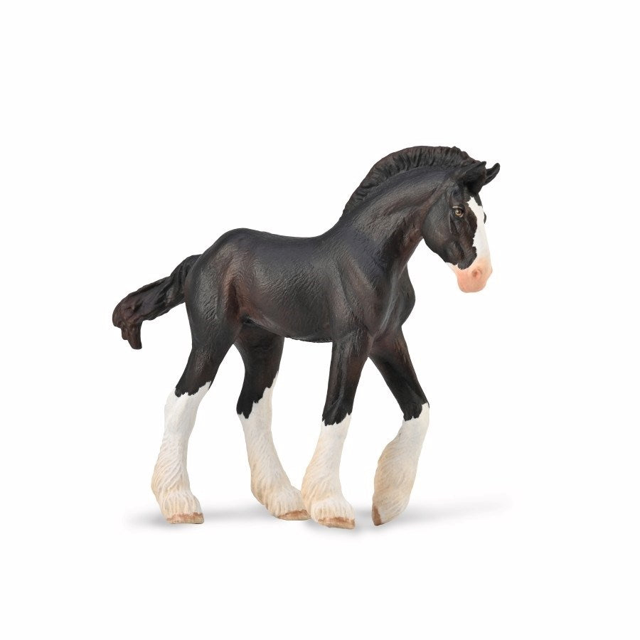 CollectA Clydesdale Foal - Black (M) (8262293422306)