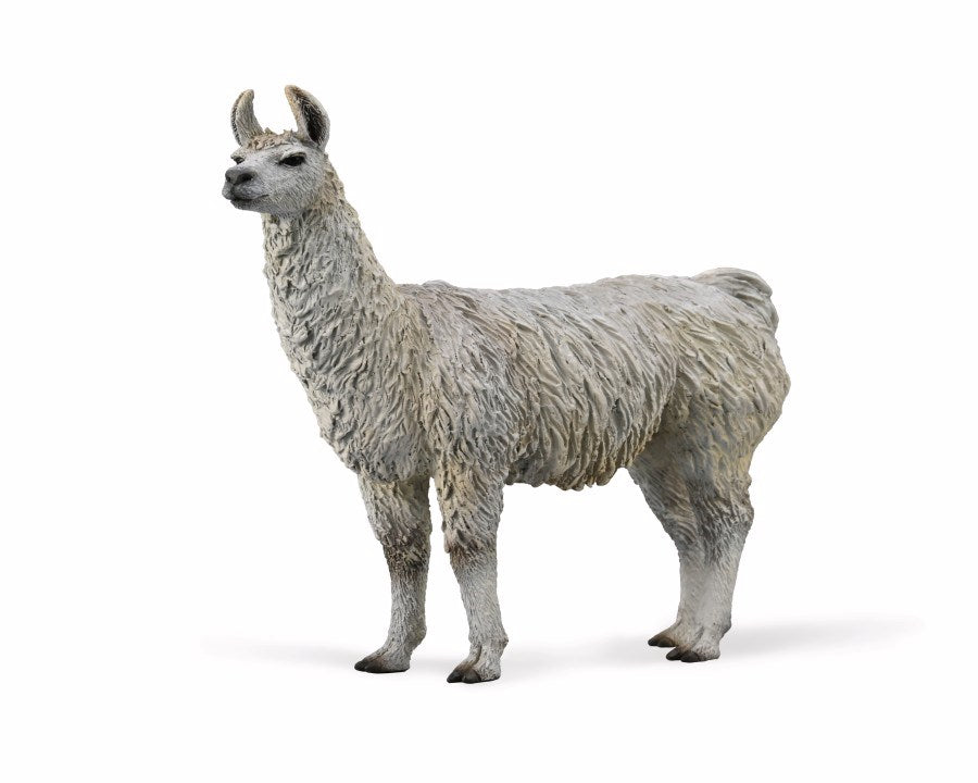 CollectA Llama (M) (8262294831330)