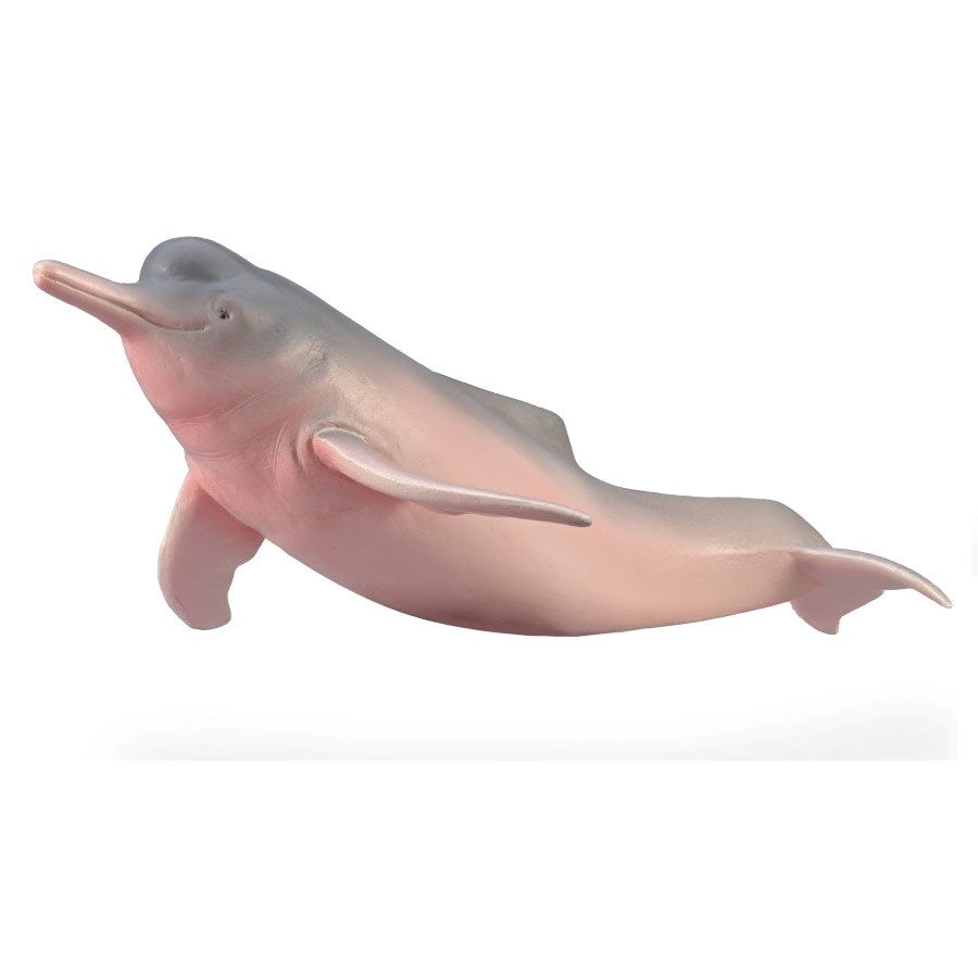 CollectA Amazon River Dolphin (M) (8262294175970)