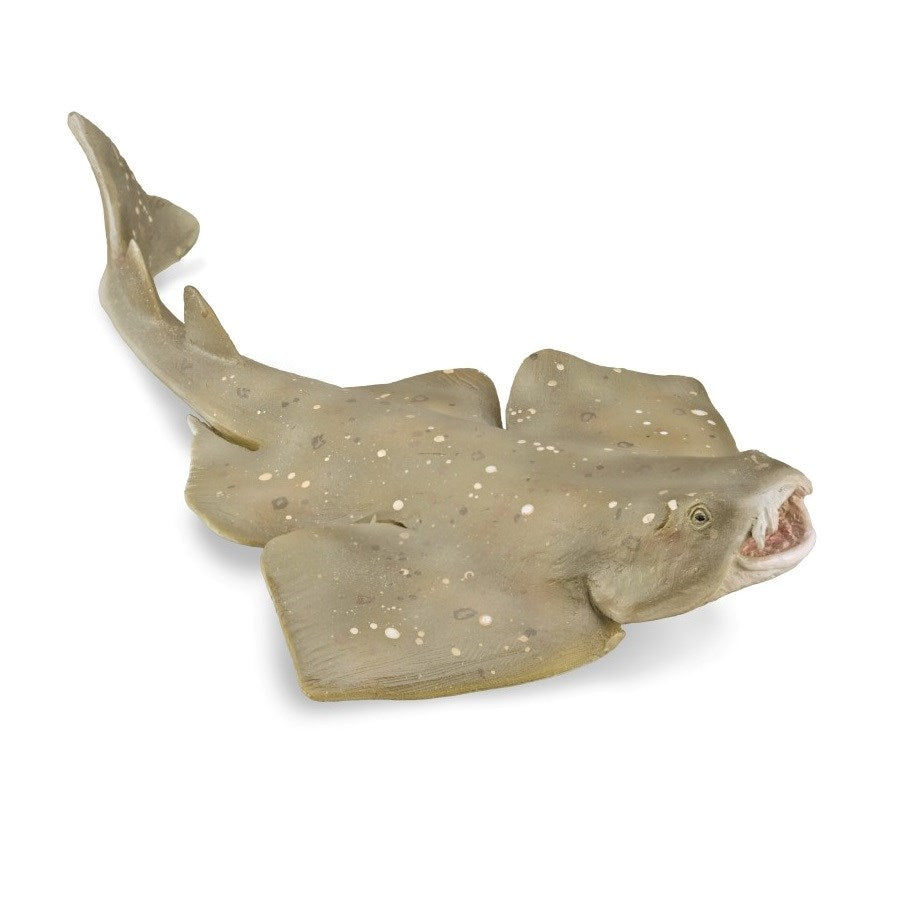 CollectA Angel Shark (M) (8262294405346)