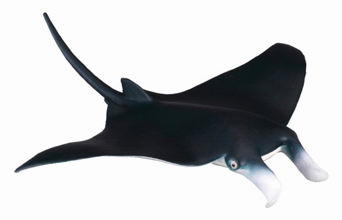 CollectA Manta Ray Figurine M (8262285132002)