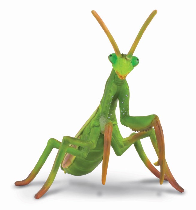 CollectA Praying Mantis Figurine L (8262284411106)