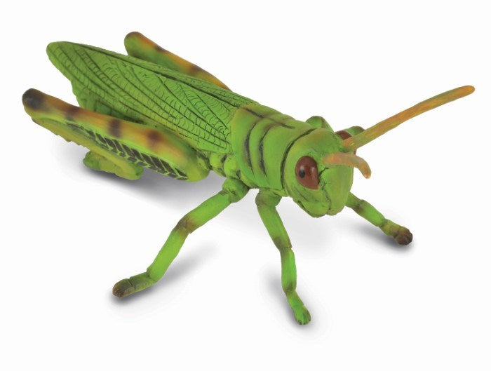 zCollectA Grasshopper Figurine M (7726504771810)