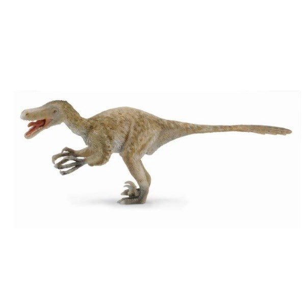 CollectA Velociraptor Deluxe 1:6 Scale Figurine DLX (6899041009846)