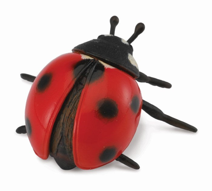 CollectA Ladybird Figurine M (7726504804578)