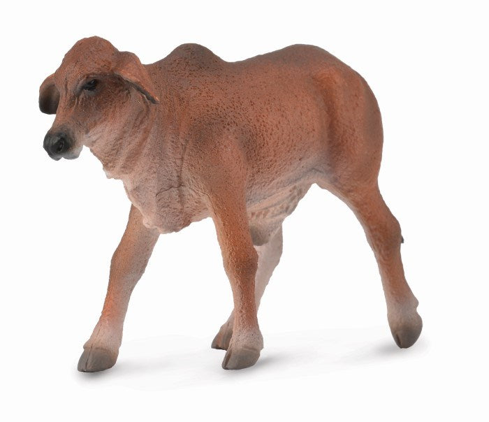 zCollectA Red Brahman Calf Figurine S (6899057131702)