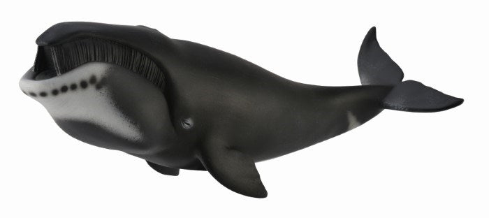 CollectA Bowhead Whale Figurine XL (8262285492450)