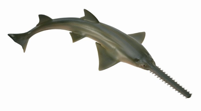 CollectA Sawfish Figurine M (6899068666038)