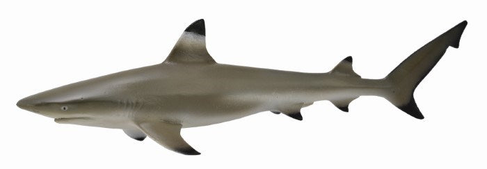 CollectA Blacktip Reef Shark Figurine M (7463386546402)