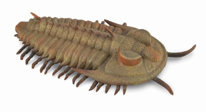 CollectA Redlichia rex trilobite Figurine L (8262278152418)