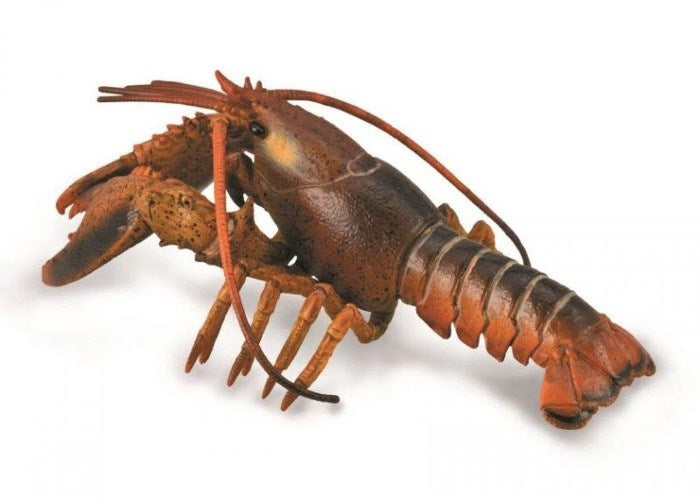 CollectA Lobster XXL (8262287524066)