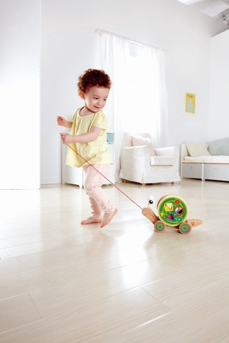 Hape Walk-A-Long Snail (8264119353570)