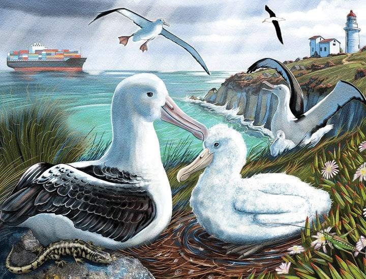 Holdson Treasures of Aotearoa S3 96pc Frame Tray Puzzle (Albatross Rookery) (8096335200482)