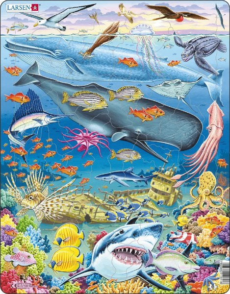 Larsen Maxi Puzzle South Pacific Marine Life - 66 pieces (6822791741622)