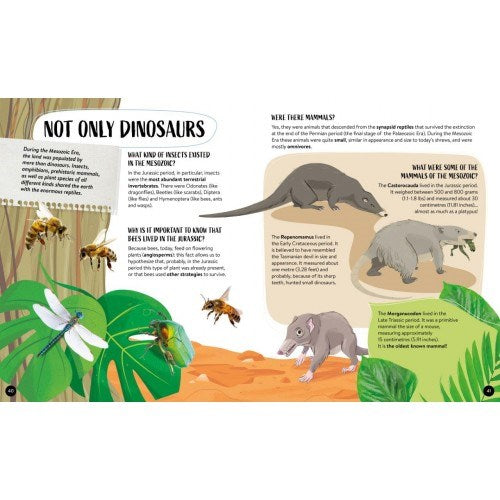 Sassi Junior What How and Why Dinosaurs Book and Poster (7761185276130)