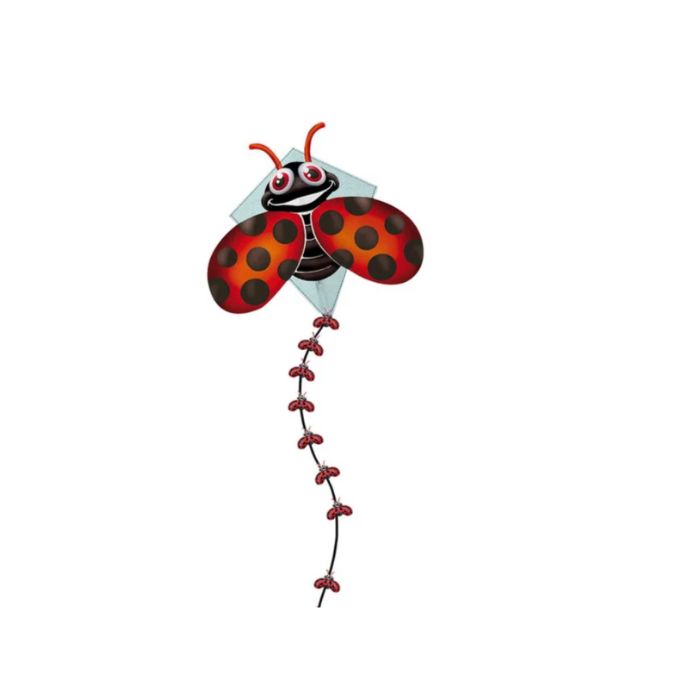 Eolo KITE'S READY 2 FLY - POP UP DIAMOND - LADY BUG - PATENTED POPUP SYSTEM-KITE TOTE (8303273902306)