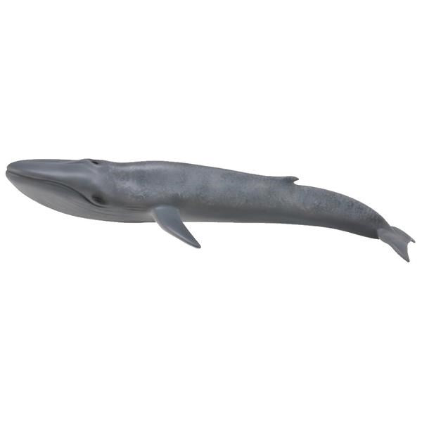 CollectA Blue Whale Figurine XL (8262285426914)