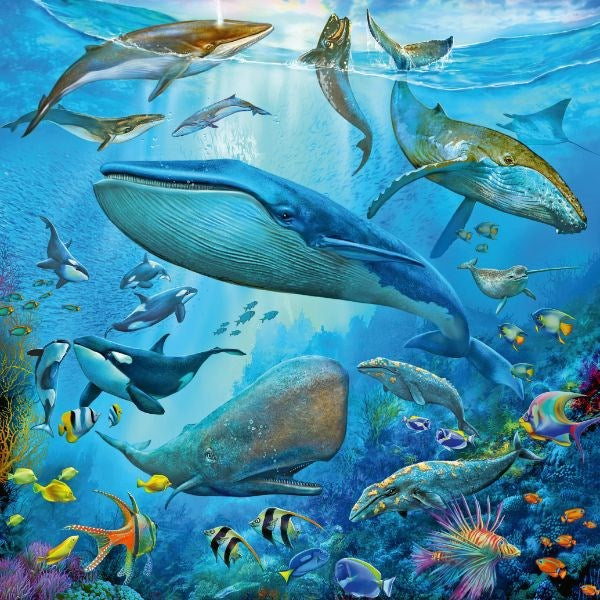 Ravensburger  Ocean Life Puzzle 3x49pc (8076828868834)