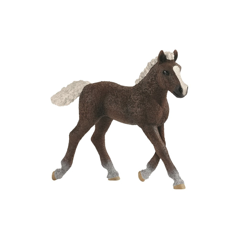 Schleich 13899 - Black Forest Foal (6823107068086)